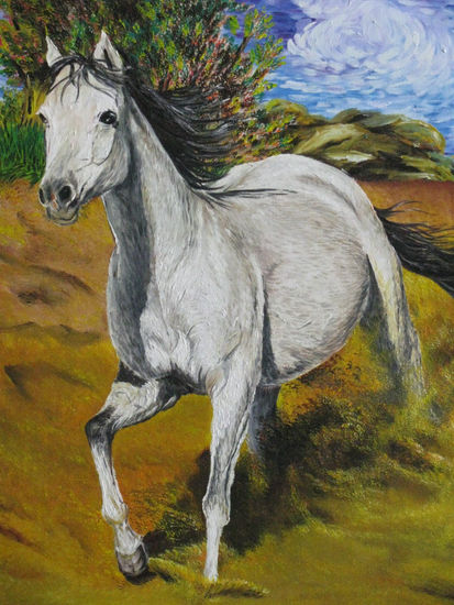 caballo  solitario Oil Canvas Animals