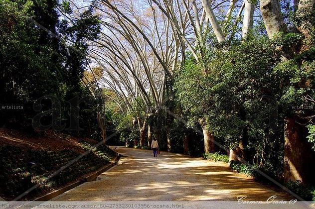 Enamorada del Jardín Botánico