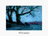 072  Camino