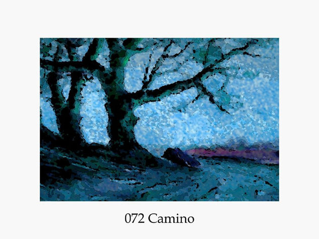 072  Camino Mixed Media