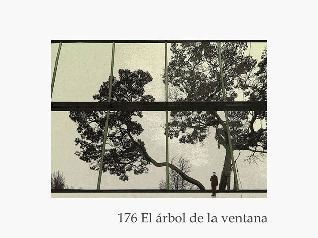 176 Arbol de la ventana Técnica Mixta