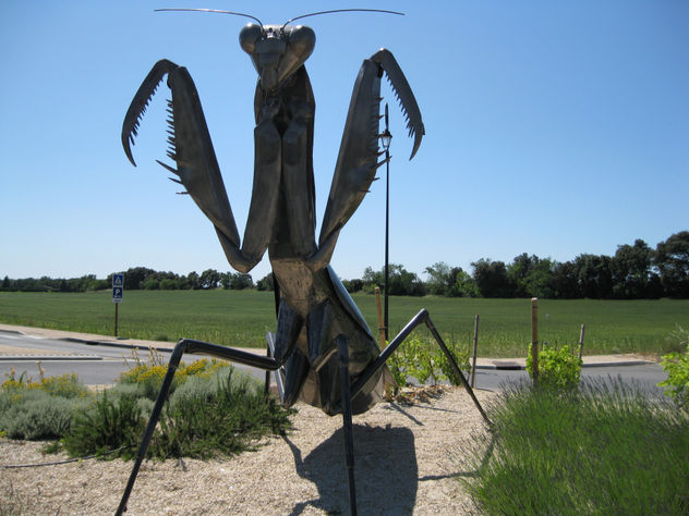 La manta religiosa (santateresa)