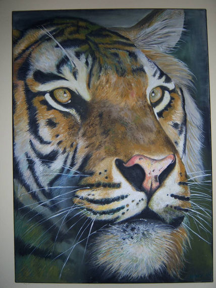 Tigre