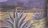 COLECCION DEL ARTISTA