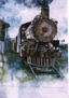LOCOMOTORA