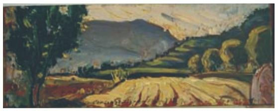 Paisatge de Capçanes (Tarragona) Oil