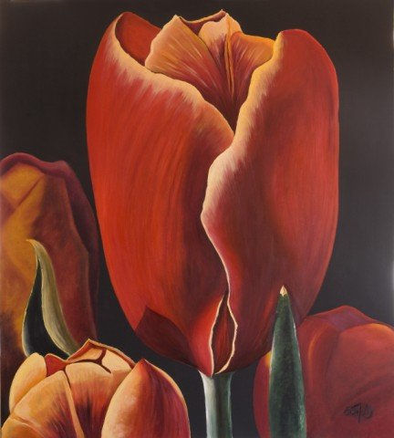 TULIPÁN ROJO Media Mixta Tabla Floral