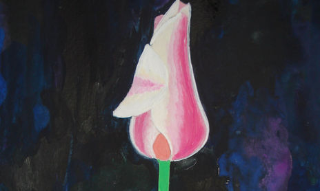 Flores