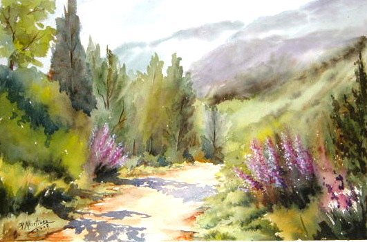 Camino de Cordoba Watercolour Paper Landscaping