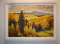 paisaje1