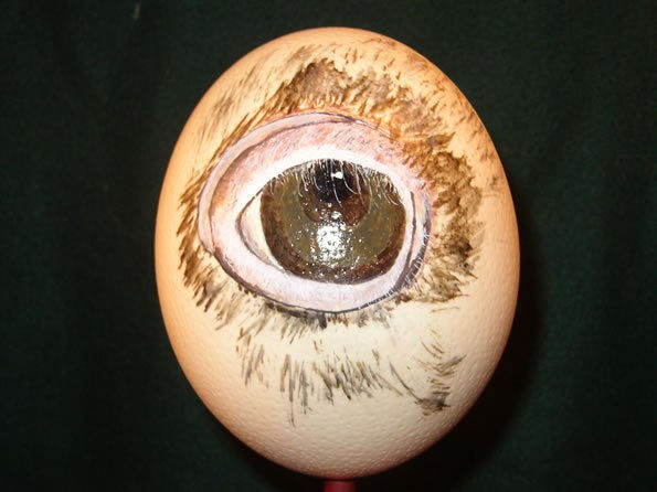 Ojo de avestruz