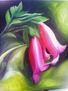 CAMPANILLAS