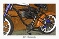 113  BICIMOTO NARANJA