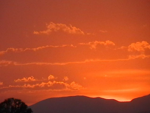 NARANJA