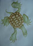La Tortuga