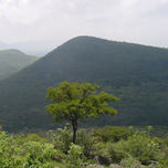 Paisaje thumbnail 1