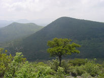 Árbol y montañas