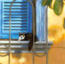 Gato na Janela