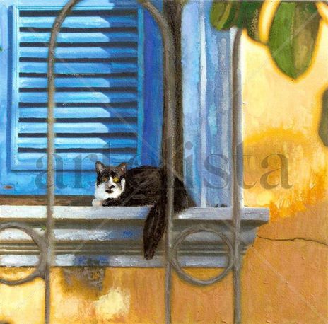 Gato na Janela