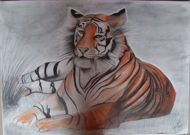 felino