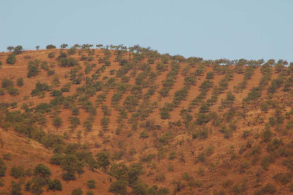 Cerro.