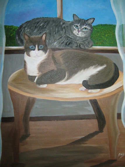 Los gatos de la casa