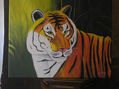 Tigre
