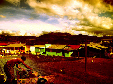 Vivienda del sembrador
