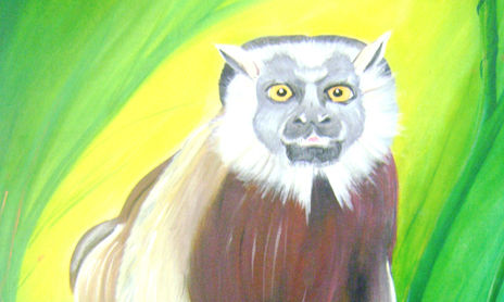 FAUNA