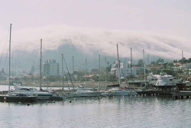 puerto y niebla