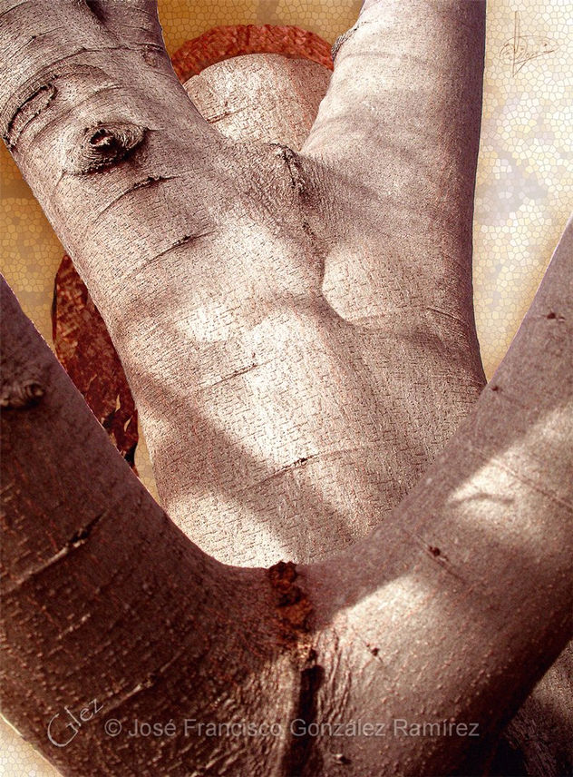 DESNUDO ARBOL (serie Eros)