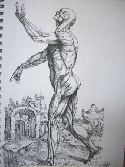 VESALIO (REPRODUCCION) Tinta