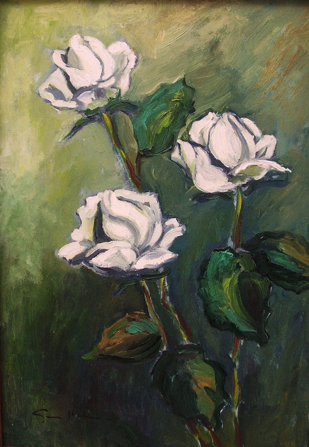 roses blanques
