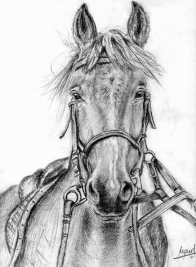 caballo 2 Pencil