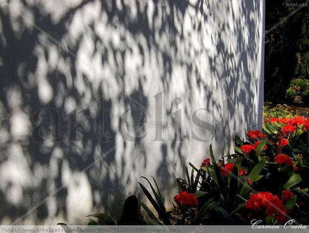 Sombras