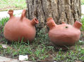 cantaritos