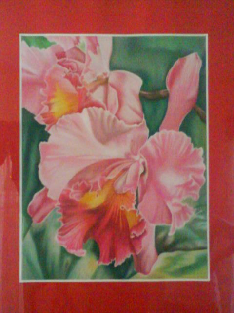 ORQUIDEA