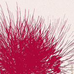 The Fireworks Music thumbnail 1