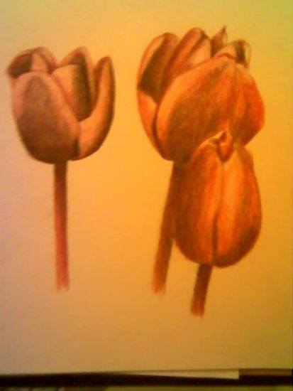 Tulipanes en sangria - sepia 