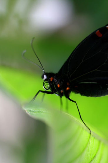 Paraiso en el DeFectuso 
