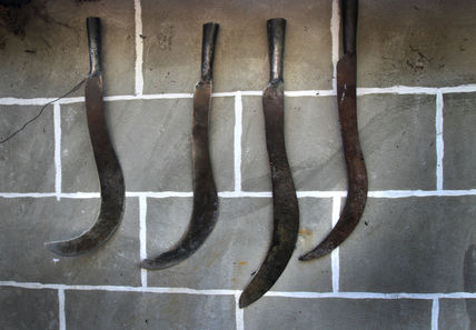 Coleccion de Machetes