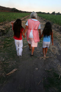 Camino a los Borregos