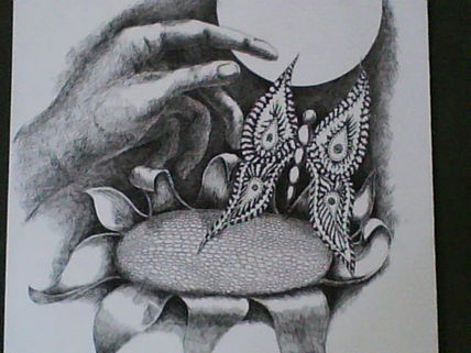 Mariposa