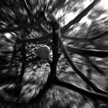 Momentos: Fotografia y poesia unidas por el sentimiento. thumbnail 2
