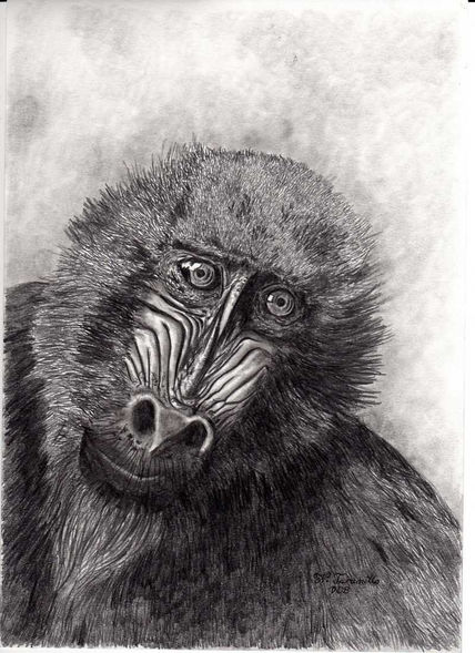 Cabeza de mandril