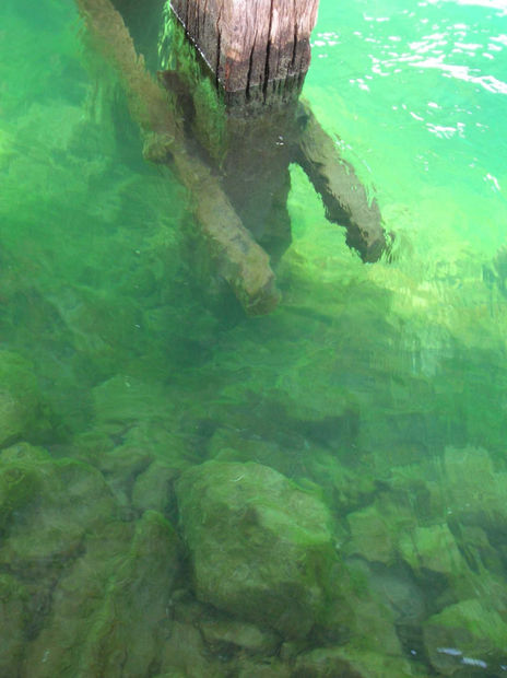 Transparencias-9