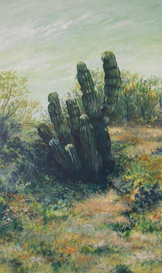 Cardón Acrylic Canvas Landscaping