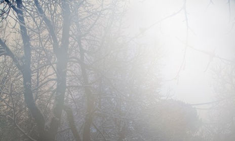 landscapes
