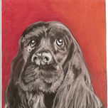 retrato thumbnail 1