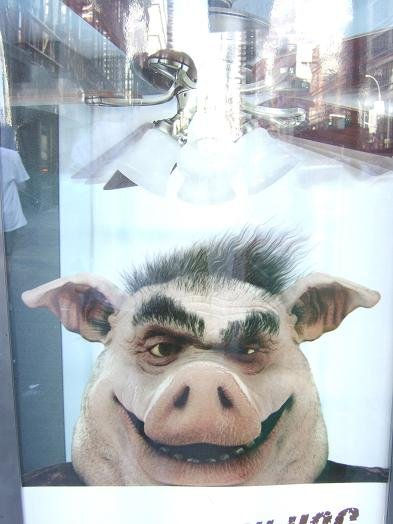 cerdo